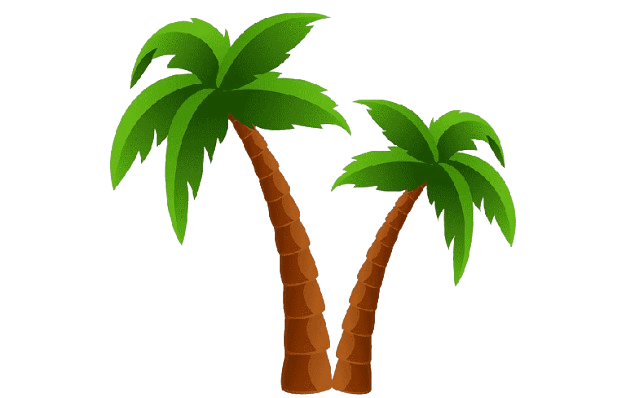 Palmiers de fond